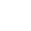 Globe-icon